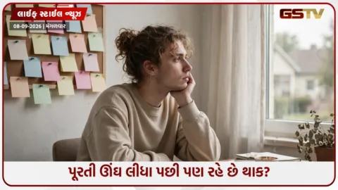 VIDEO: માનસિક થાકની ઓળખ કરાવે છે આ 5 લક્ષણો, સમયસર ચેતી જજો નહીં તો વધશે સ્ટ્રેસ