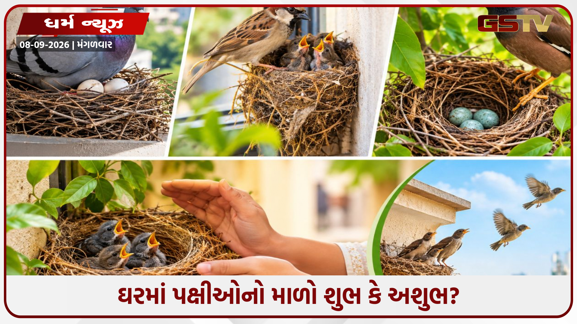 ઘરમાં પક્ષીઓનો માળો શુભ કે અશુભ? જાણો વાસ્તુશાસ્ત્ર શું કહે છે