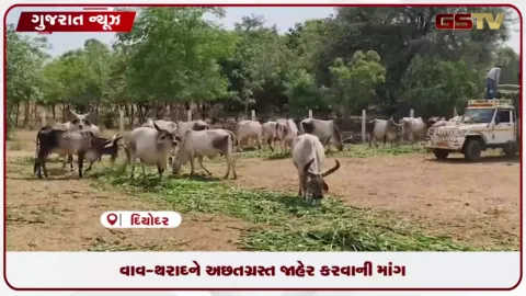 VIDEO: નહીવત વરસાદને કારણે વાવ-થરાદમાં દુષ્કાળ જેવી સ્થિતિ, ગૌશાળાઓ માટે પૂરતા ઘાસચારાની માંગ સાથે ચિંતન બેઠક યોજાઈ