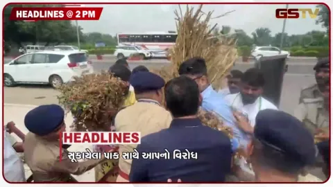 VIDEO: HEADLINE 2.00 PM / સૂકાયેલા પાક સાથે આપનો વિરોધ, ગાંધીનગરમાં કોંગ્રેસના ધરણા, ખેડૂતોને 10 કલાક વીજળી
