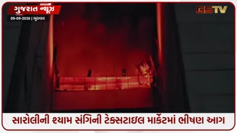 VIDEO: Surat / સારોલીની શ્યામ સંગિની ટેક્સટાઇલ માર્કેટમાં મધ્યરાત્રિએ ભીષણ આગ, 4 થી 5 દુકાનો બળીને ખાખ