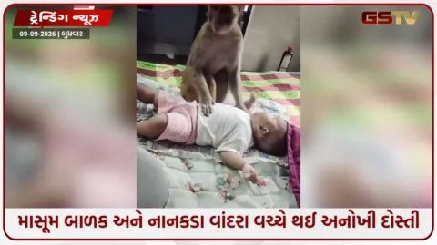 VIDEO: VIRAL / માસૂમ બાળક અને નાનકડા વાંદરા વચ્ચે થઈ અનોખી દોસ્તી, નજારો જોઈ નેટિઝન્સ પણ થયા ભાવુક
