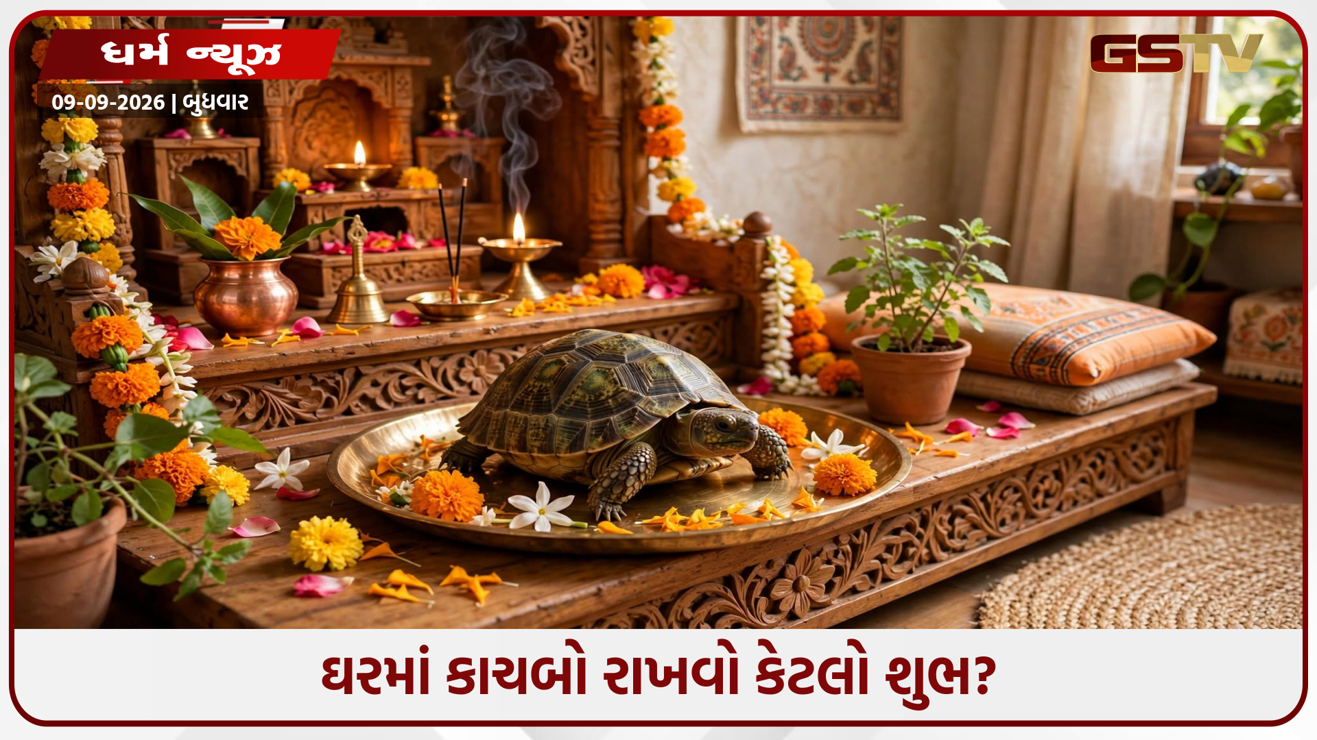 ઘરમાં કાચબો રાખતા પહેલાં જાણો આ વાસ્તુ નિયમો, નહિતર નુકસાન થઈ શકે છે!