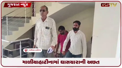 VIDEO: વરસાદ ખેંચાતા ગૌશાળાઓમાં ઘાસચારાની અછત, સંચાલકોએ તંત્ર પાસે મદદ માંગી