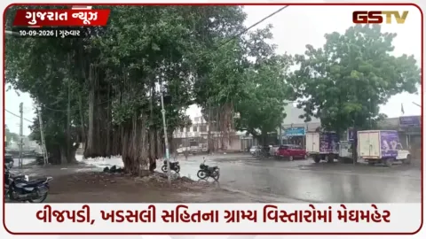 VIDEO: અમરેલી જિલ્લામાં સતત બીજા દિવસે વરસાદ, વરસાદની ઘટ વચ્ચે ખંભાળિયામાં પણ મેઘમહેર થતાં ઠંડક પ્રસરી