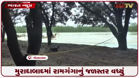 VIDEO: મુરાદાબાદમાં રામગંગાનું જળસ્તર વધ્યું