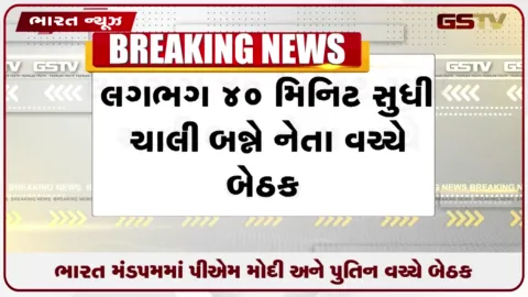 VIDEO: રશિયાના રાષ્ટ્રપતિ વ્લાદિમીર પુતિન અને વડાપ્રધાન નરેન્દ્ર મોદી વચ્ચે દ્વિપક્ષીય બેઠક