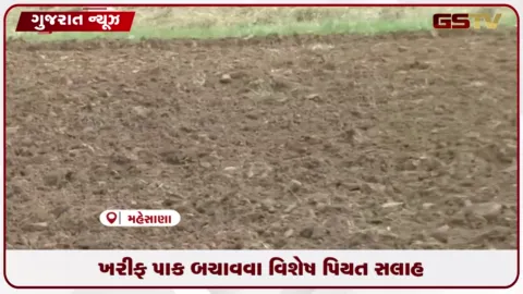 VIDEO: મહેસાણા જિલ્લામાં ખરીફ વાવેતર પૂર્ણ, પાક બચાવવા પિયત આપવું જરૂરી