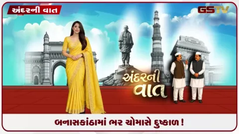 VIDEO: બનાસકાંઠામાં ભર ચોમાસે દુષ્કાળ! ૩.૪૫ લાખ હેક્ટરના વાવેતરમાં આર્થિક તારાજી!