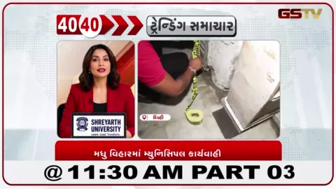 VIDEO: દિલ્હીના મધુ વિહારમાં નગર નિગમે અનેક દુકાનો સીલ કરી