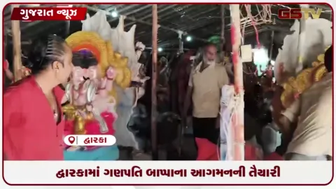 VIDEO: યાત્રાધામ દ્વારકામાં ગણેશોત્સવને લઈને ઉત્સાહ: વિવિધ આકારની આકર્ષક મૂર્તિઓ વેચાણ અર્થે ઉપલબ્ધ