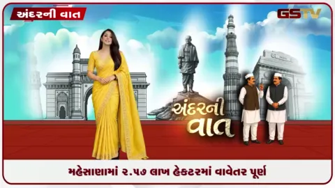 VIDEO: મહેસાણામાં ૨.૫૭ લાખ હેક્ટરમાં વાવેતર પૂર્ણ વરસાદ ખેંચાતાં ઉભા પાક પર સંકટના વાદળો!