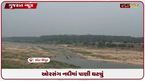 VIDEO: છોટાઉદેપુરની ઓરસંગ નદીમાં ભર ચોમાસે પાણીનો પ્રવાહ ઘટતા ગંભીર કટોકટી સર્જાવાની ભીતિ