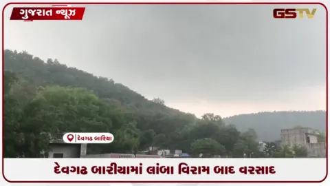 VIDEO: દેવગઢ બારીયા નગર અને તાલુકામાં લાંબા સમયના વિરામ બાદ વરસાદ વરસતા ખેડૂતોમાં આનંદ