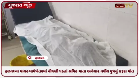 VIDEO: હળવદના માથક ગામે ખેતરમાં વીજળી પડતાં શ્રમિક માતા અને ચાર વર્ષીય પુત્રનું કરૂણ મોત