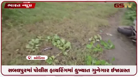 VIDEO: સબલપુરમાં પોલીસ ફાયરિંગમાં કુખ્યાત ગુનેગાર ઈજાગ્રસ્ત