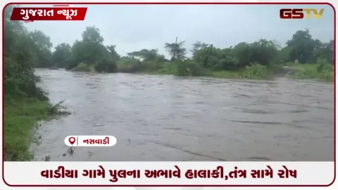 VIDEO: નસવાડીના વાડિયા ગામે પુલના અભાવે હાલાકી, ગ્રામજનોનો ચૂંટણીલક્ષી નેતાઓ સામે ભારે આક્રોશ