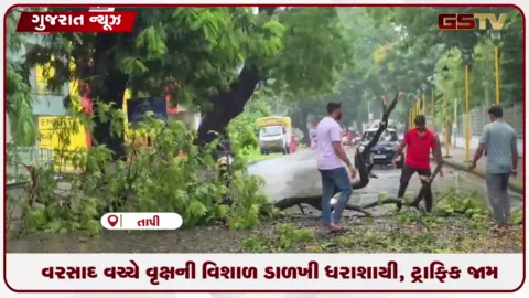 VIDEO: વ્યારાના તળાવ રોડ પર વરસાદી માહોલ વચ્ચે તોતિંગ વૃક્ષની ડાળખી ધરાશાયી થઈ