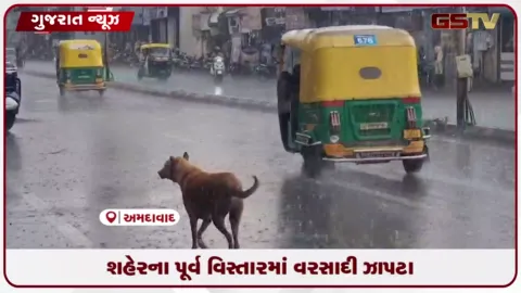 VIDEO: અમદાવાદ : પૂર્વ અને પશ્ચિમ વિસ્તારમાં વાતાવરણ પલટાતા ધોધમાર વરસાદથી નગરજનોને ગરમીથી રાહત