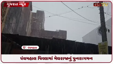 VIDEO: પંચમહાલ જિલ્લામાં મેઘરાજાનું પુનરાગમન: શહેરા સહિત આસપાસના વિસ્તારોમાં વરસાદથી ખેડૂતો ખુશખુશાલ
