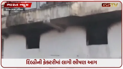 VIDEO: દિલ્હીની ફેક્ટરીમાં લાગી ભીષણ આગ, ગભરાટમાં ઈમારત પરથી કૂદતા 6 લોકો ઘાયલ