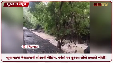 VIDEO: જૂનાગઢમાં મેઘરાજાની તોફાની બેટિંગ, પર્વતો પર કુદરત સોળે કળાએ ખીલી!