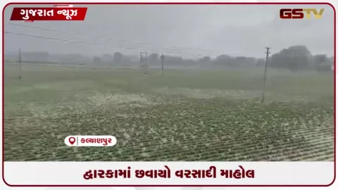 VIDEO: દ્વારકામાં લાંબા વિરામ બાદ મેઘરાજાની પધરામણી: પાકને મળ્યું જીવતદાન, ખેડૂતોમાં આનંદ