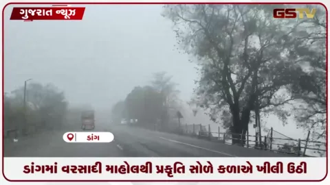 VIDEO: ડાંગમાં વરસાદી માહોલથી પ્રકૃતિનો અદભૂત નજારો