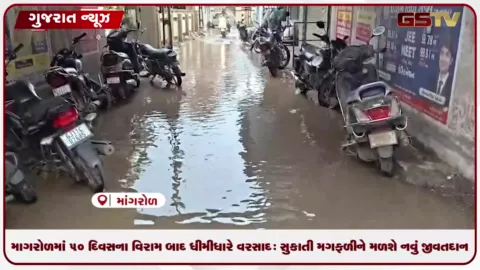 VIDEO: માંગરોળ માં 50 દિવસના વિરામ બાદ ધીમીધારે વરસાદ: સુકાતી મગફળીને મળશે નવું જીવતદાન