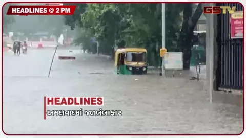 VIDEO: HEADLINE 02.00 PM / અમદાવાદમાં જળબંબાકારથી હાહાકાર, અઢી ઈંચ વરસાદમાં વડોદરા બેહાલ