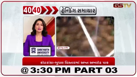 VIDEO: રાજૌરીના પહાડી વિસ્તારોમાં અખરોટનો બમ્પર પાક, ખેડૂતોમાં ખુશીની લહેર