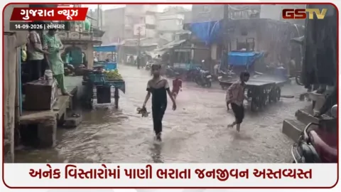VIDEO: ગુજરાતમાં માત્ર 4 કલાકમાં 172 તાલુકામાં ધોધમાર વરસાદ, આણંદના બોરસદમાં સૌથી વધુ 4.53 ઇંચ ખાબક્યો
