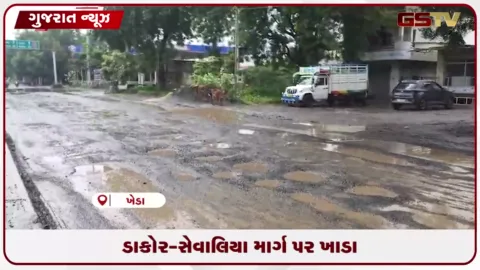 VIDEO: ડાકોરથી સેવાલિયા સ્ટેટ હાઇવે પર ખાડાઓનું સામ્રાજ્ય, ભ્રષ્ટાચાર સામે રોષ