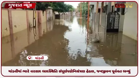 VIDEO: કચ્છના માંડવીમાં ભારે વરસાદ બાદ સ્થિતિ સંપૂર્ણપણે નિયંત્રણ હેઠળ, જનજીવન પૂર્વવત બન્યું