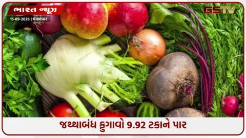 VIDEO: તહેવારો ટાણે મોંઘવારીનો માર; પેટ્રોલથી શાકભાજી સુધીના ભાવ આસમાને, જથ્થાબંધ ફુગાવો 9.92 ટકાને પાર