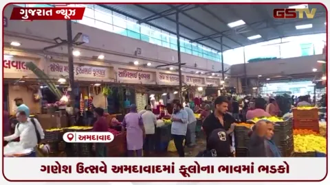VIDEO: અમદાવાદમાં વરસાદ અને ગણેશ પર્વની માંગ વચ્ચે ઓછી આવક થતાં ફૂલોના ભાવમાં ચારથી પાંચ ગણો ભાવવધારો