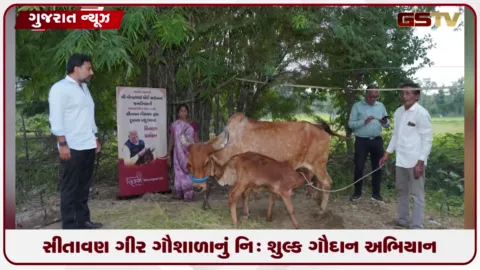 VIDEO: વડાપ્રધાનના જન્મદિવસે ૭૬ મહિલાઓને સીતાવન ગીર ગૌશાળા દ્વારા નિઃશુલ્ક ગૌદાન