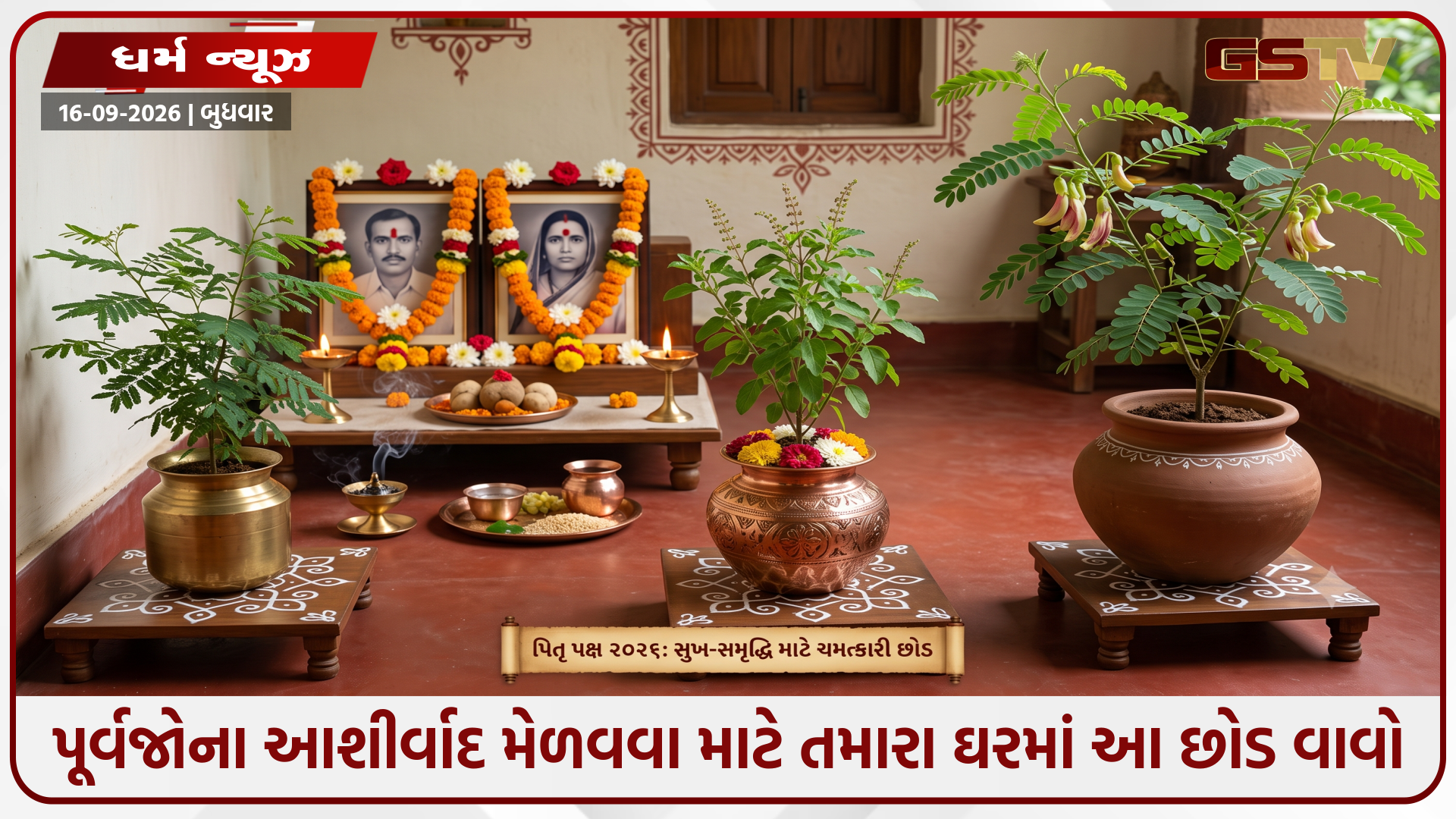 Religion : પિતૃ દોષથી મુક્તિ મેળવવી છે? પિતૃ પક્ષમાં આ છોડ ઘર લાવવાથી બદલાઈ જશે કિસ્મત
