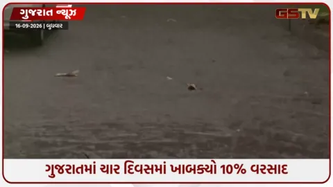 VIDEO: ગુજરાતમાં ચાર દિવસમાં ખાબક્યો 10% વરસાદ; કચ્છમાં હજુ 50% જેટલી ઘટ