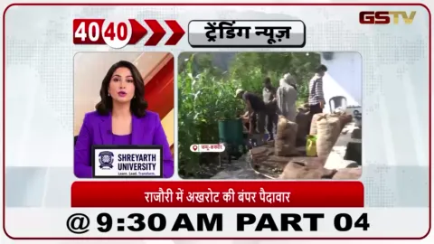 VIDEO: राजौरी में अखरोट की बंपर पैदावार; किसानों के चेहरों पर खुशी और ज़्यादा आमदनी की उम्मीदें।