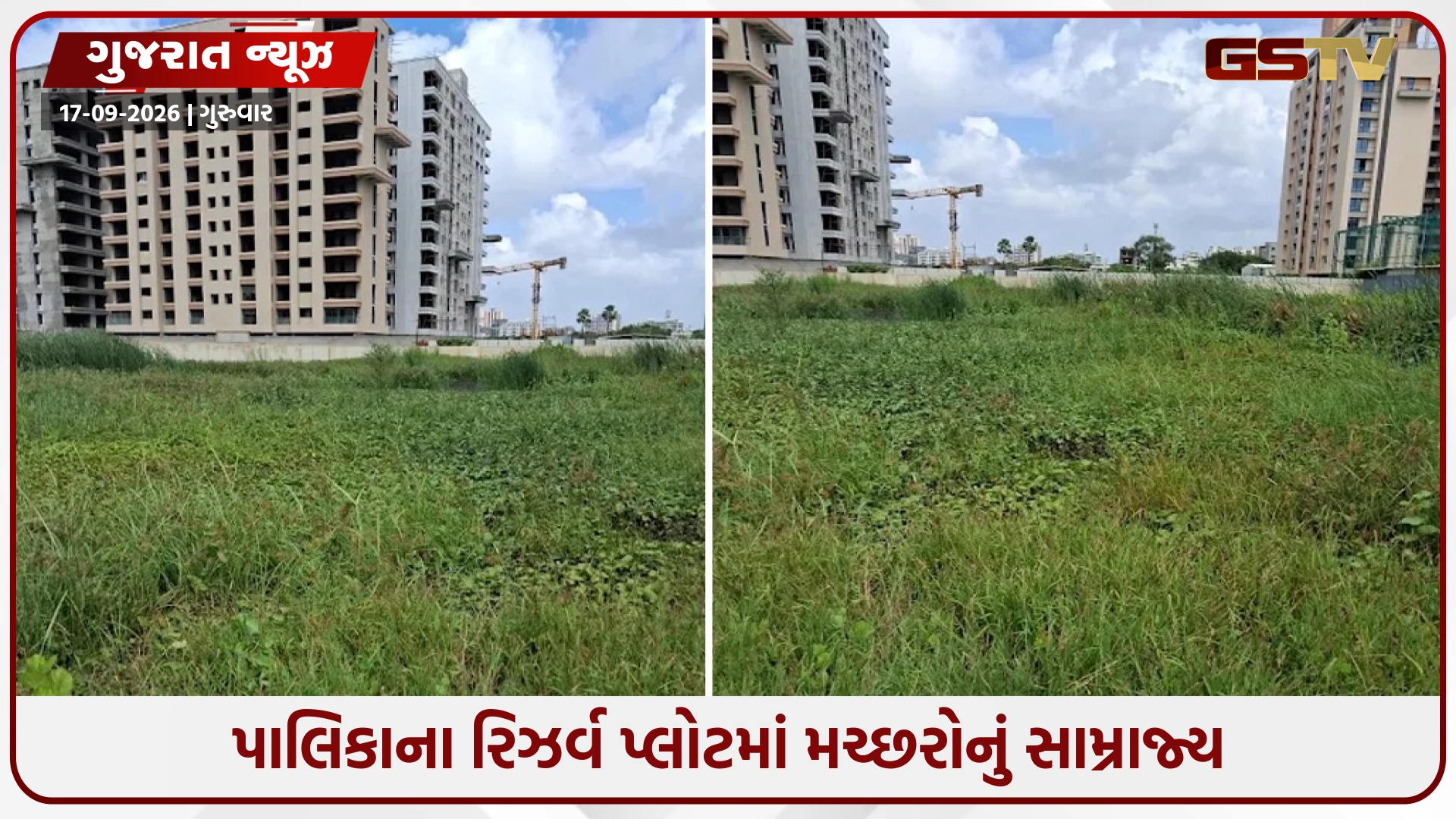 Suratમાં પાલિકાની બેધારી નીતિ; લોકોને દંડ ફટકારતી પાલિકાના રિઝર્વ પ્લોટમાં મચ્છરોનું સામ્રાજ્ય