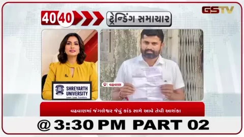 VIDEO: વઢવાણના જન્માષ્ટમી લોકમેળામાં કથિત ગેરરીતિના આક્ષેપ, કલાકારોની ફીમાં લાખો રૂપિયાની ઉચાપતના આરોપથી વિવાદ