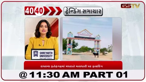 VIDEO: કચ્છના રાપરમાં મધરાતે માલધારી પર ફાયરિંગ, ચોરીના ઈરાદે આવેલા અજાણ્યા શખ્સોના હુમલામાં માલધારી ગંભીર રીતે ઘાયલ