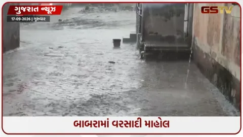 VIDEO: બાબરા શહેરમાં વિરામ બાદ ફરી વરસાદનું આગમન, વાતાવરણમાં ઠંડક પ્રસરી