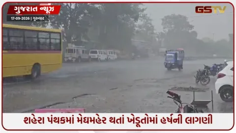VIDEO: શહેરામાં બે દિવસના વિરામ બાદ વરસાદની એન્ટ્રી, ખેડૂતોમાં ખુશીની લાગણી
