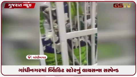 VIDEO: ગાંધીનગરમાં ગંદકી અને ક્ષતિઓ મળતા રાયસણ સ્થિત બ્લિંકિટ સ્ટોરનું લાયસન્સ સસ્પેન્ડ