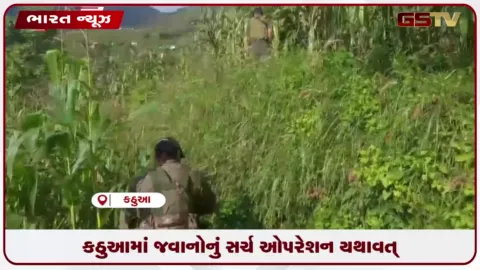 VIDEO: કઠુઆના બિલાવર વિસ્તારમાં સુરક્ષા દળોનું સેર્ચ ઓપરેશન જારી, બે આતંકીઓ ઠાર