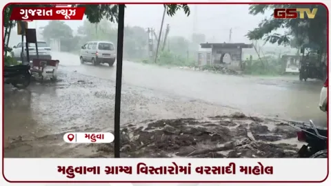 VIDEO: લાંબા વિરામ બાદ મહુવામાં ધીમી ધારે વરસાદથી ખેડૂતોમાં ખુશીનો માહોલ