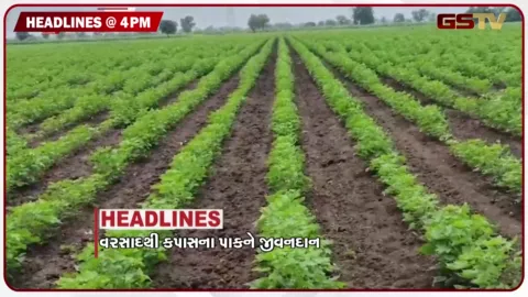 VIDEO: HEADLINE 04.00 PM / વરસાદથી રાજ્યમાં ખેતીપાકોને મળ્યું જીવતદાન, ઉત્તર ભારતમાં મોસમનો મિજાજ બદલાયો