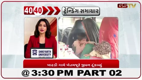VIDEO: સુરેન્દ્રનગરના ખાટડી ગામે ખેતીમાં નિષ્ફળતાથી આર્થિક સંકટ, 22 વર્ષીય ખેતમજૂરનું કરુણ મોત